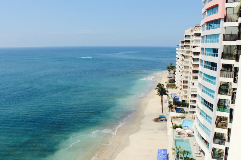 chambre-hote-BEZAUDUN LES ALPES-min_beach_ocean_shore_hotel_palm_tree-33726