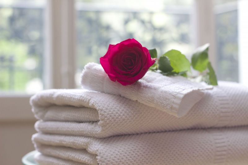 chambre-hote-BEZAUDUN LES ALPES-min_towel_rose_clean_care_salon_spa_white_bath-731641